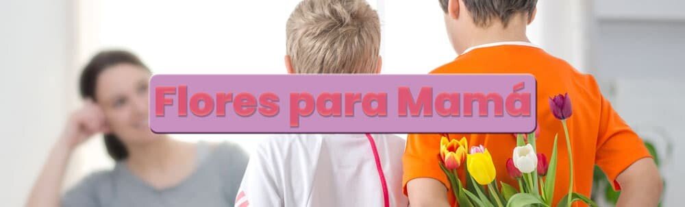 Flores mes de la Madre Flores mes de la Madre Flores mes de la Madre Flores mes de la Madre