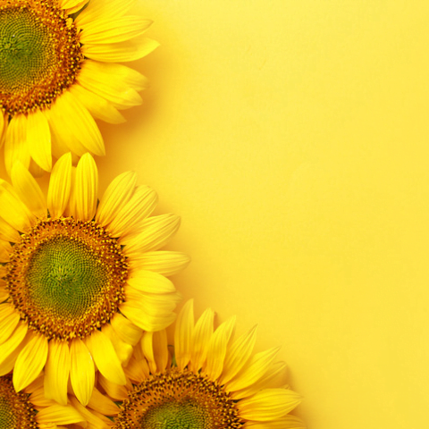 Landing Dinámica 6 635Adefd A5De 4Bcf 85Fe 63362Dfff5E4